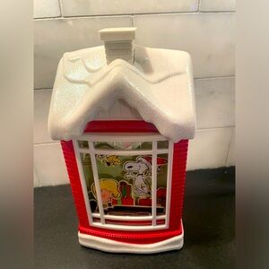 Peanuts Snoopy 2013 Dance Party